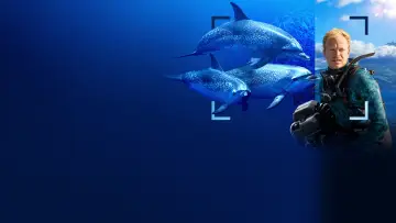 Задник до фільму "Dolphins Up Close with Bertie Gregory" #980086