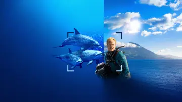 Задник до фільму "Dolphins Up Close with Bertie Gregory" #980087