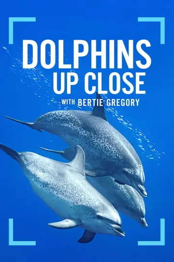 Постер до фільму "Dolphins Up Close with Bertie Gregory" #980098