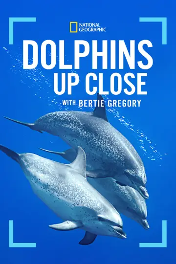 Постер до фільму "Dolphins Up Close with Bertie Gregory" #980099