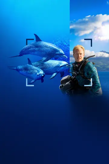 Постер до фільму "Dolphins Up Close with Bertie Gregory" #980101