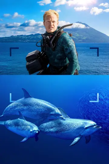 Постер до фільму "Dolphins Up Close with Bertie Gregory" #980102