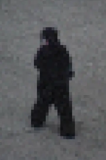Постер до фільму "Gorilla Gorilla" #1528155