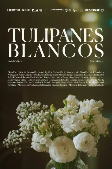 Постер до фильму"Tulipanes blancos" #1182225