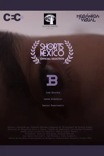 B постер