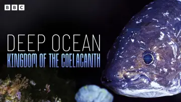Задник до фильму"Deep Ocean: Kingdom of the Coelacanth" #933661