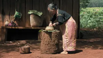 Задник до фільму "Nous Sommes les Fruits de la Forêt" #1508737