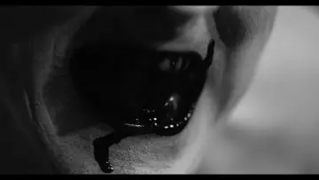 Задник до фільму "They Live on Top" #665927
