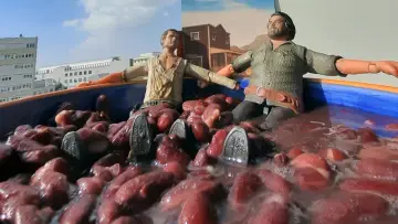 Задник до фільму "Terence Hill, Bud Spencer… et moi" #1785956