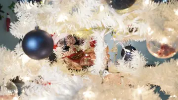 Задник до фільму "Camp Blood Christmas" #1889543