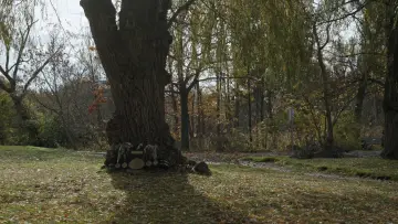 Задник до фильму"My Fighter" #1181464