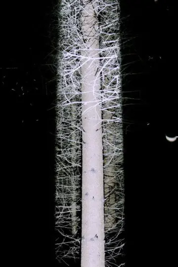 De Natura Tenebrarum