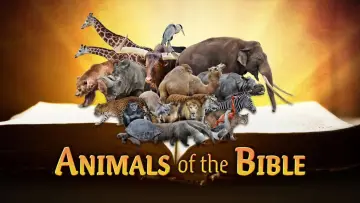 Задник до фільму "Animals of the Bible" #1624251
