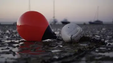 Задник до фильму"She Fishes" #971421