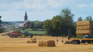 Задник до фильму"Un été à la ferme - L