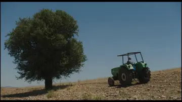 Задник до фільму "Κόκορας" #1647179