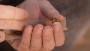 Задник до фільму "Cannabis, un paradoxe français" #1589727