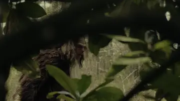 Задник до фильму"Sighting" #1166694