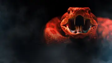 Задник до фильму"One Big Snake" #1159178