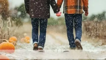 Задник до фильму"Snow Falling on Pumpkins" #691687