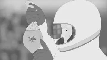 Задник до фільму "Moonfish" #1651210