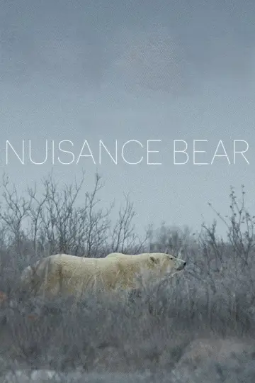 Nuisance Bear