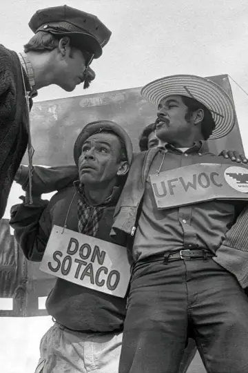 Постер до фильму"American Pachuco: The Legend of Luis Valdez" #544117