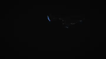 Задник до фильму"Mycélium" #1191478
