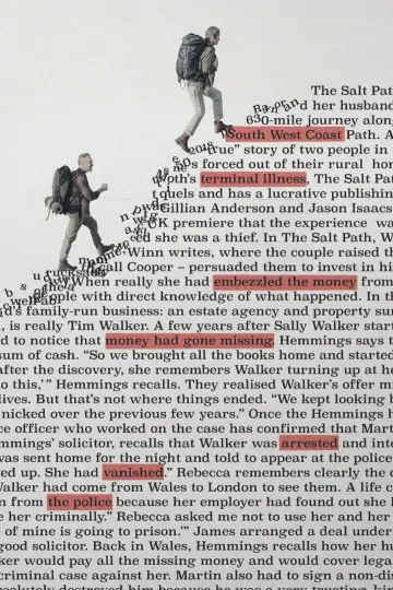 Постер до фильму"The Salt Path Scandal" #862681