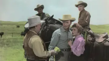 Задник до фильму"Texas Lady" #691910