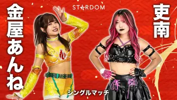 Задник до фільму "STARDOM NEW YEAR DREAM 2026〜Night〜" #544827
