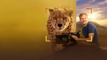 Задник до фильму"Cheetahs Up Close with Bertie Gregory" #539390