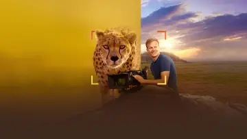 Задник до фильму"Cheetahs Up Close with Bertie Gregory" #539398