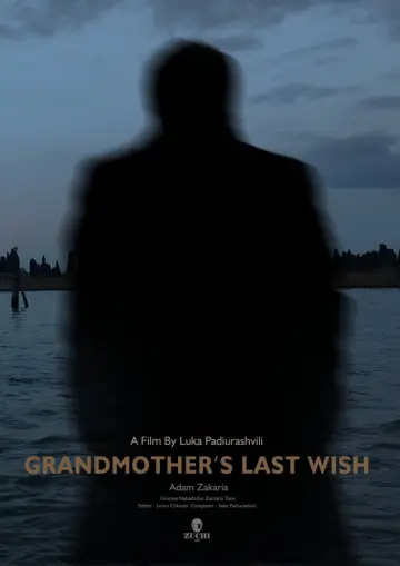 Постер до фильму"Grandmother