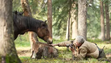 Задник до фільму "Wild Horses, the Rockies and Me" #659276