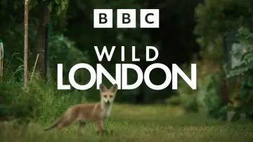 Задник до фильму"Wild London" #540339