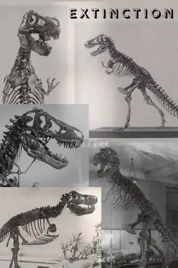 Постер до фильму"Extinction" #1147749
