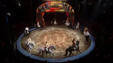 Задник до фильму"Les Folies Gruss, 50 ans à Paris" #542515
