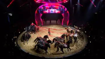 Задник до фильму"Les Folies Gruss, 50 ans à Paris" #542520