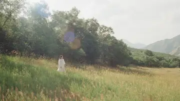 Задник до фильму"The Meadow" #773631