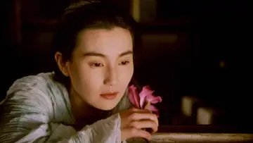 Задник до фильму"东邪西毒：终极版" #1183576
