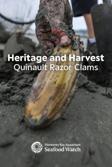 Постер до фильму"Heritage and Harvest: Quinault Razor Clams" #803440