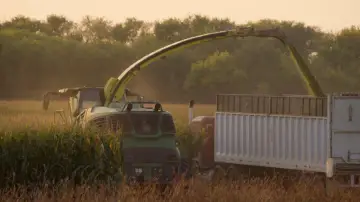 Задник до фильму"Pastoral" #970975