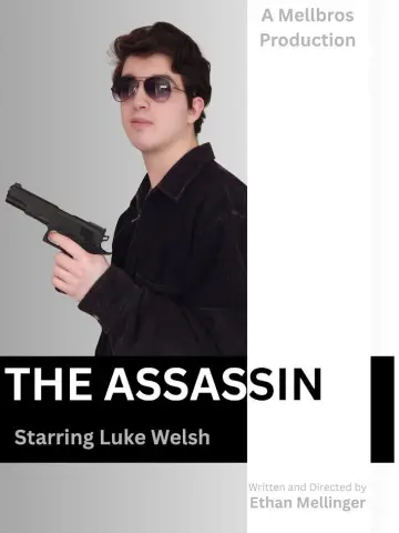 Постер до фильму"The Assassin" #1187219