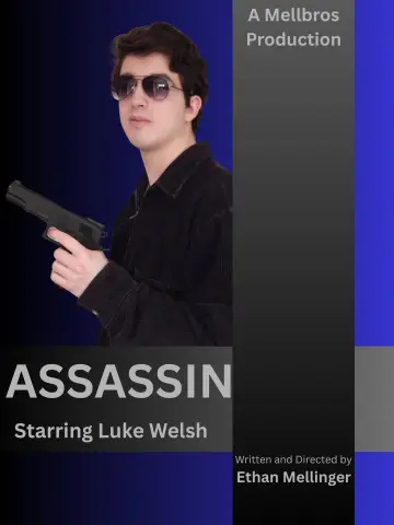 Постер до фильму"The Assassin" #1187220