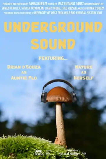 Постер до фильму"Underground Sound" #803684