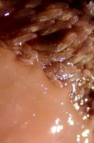 Постер до фильму"MicroPools" #559695