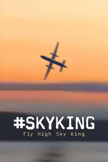 Постер до фильму"#SKYKING" #843742