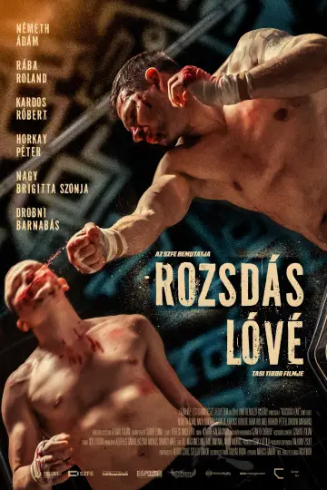 Постер до фільму "Rozsdás Lóvé" #1635636