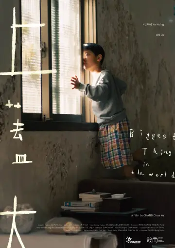 上蓋大 постер